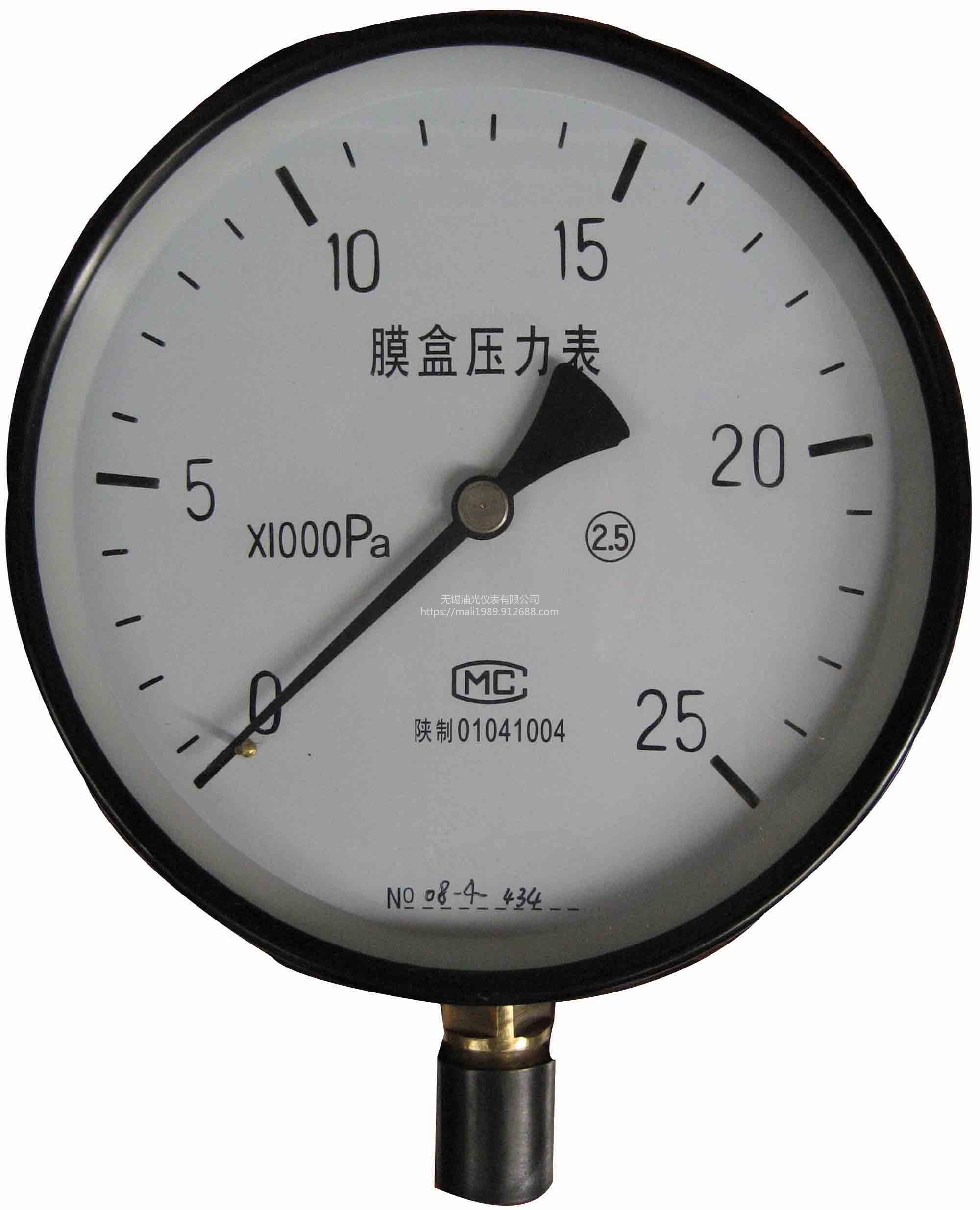 浦光仪表测量范围60MPa隔膜不锈钢水压表YZ-100图片